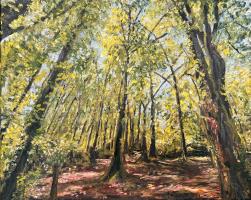 Among Trees, We Return to Ourselves